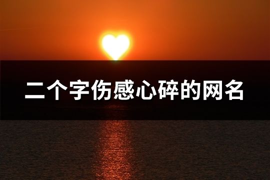 二个字伤感心碎的网名(共1054个)