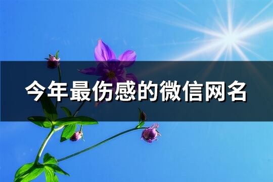 今年最伤感的微信网名(精选387个)