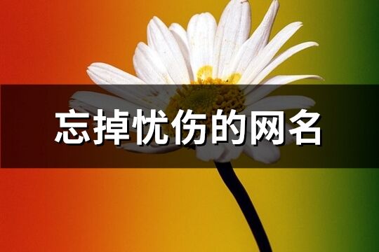 忘掉忧伤的网名(共132个)