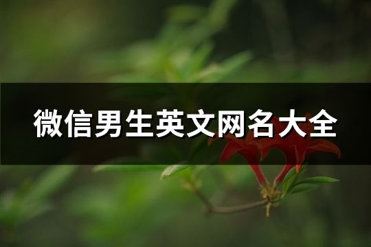 微信男生英文网名大全(74个)