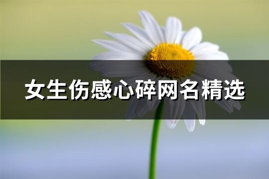 女生伤感心碎网名精选(共209个)