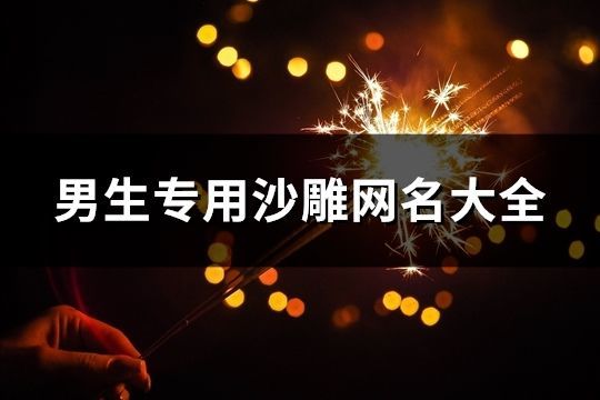 男生专用沙雕网名大全(共82个)