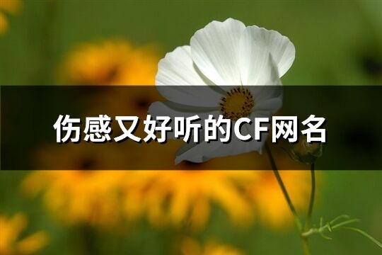 伤感又好听的CF网名(精选166个)