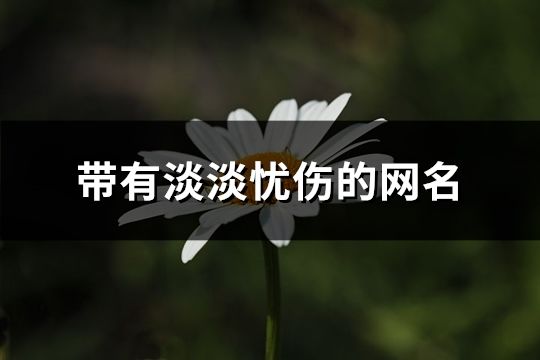 带有淡淡忧伤的网名(174个)