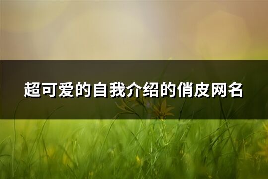 超可爱的自我介绍的俏皮网名(495个)