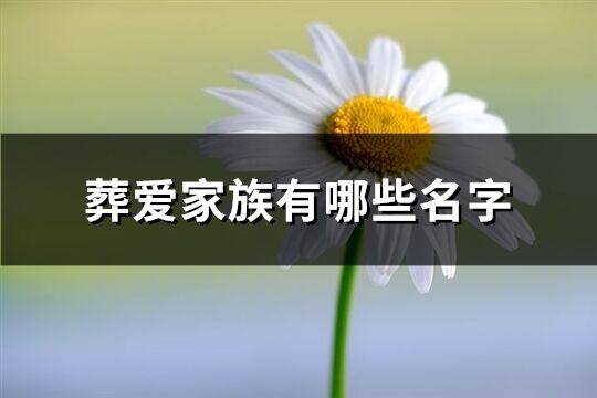 葬爱家族有哪些名字(优选79个)