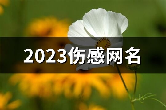 2023伤感网名(354个)