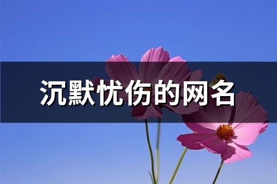 沉默忧伤的网名(共217个)