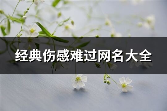 经典伤感难过网名大全(358个)