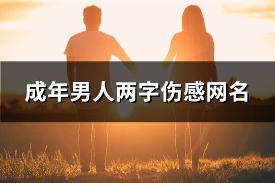 成年男人两字伤感网名(1063个)