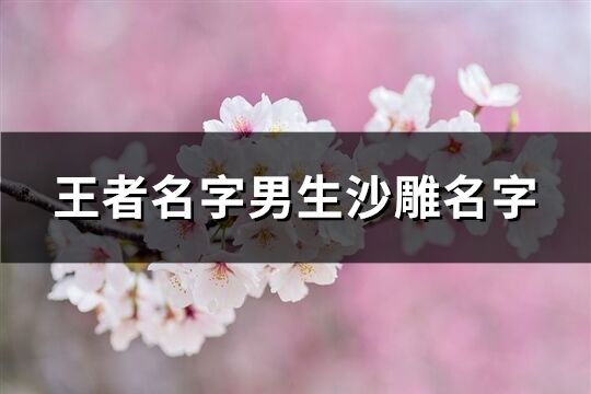 王者名字男生沙雕名字(242个)