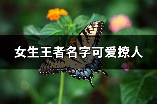 女生王者名字可爱撩人(精选162个)