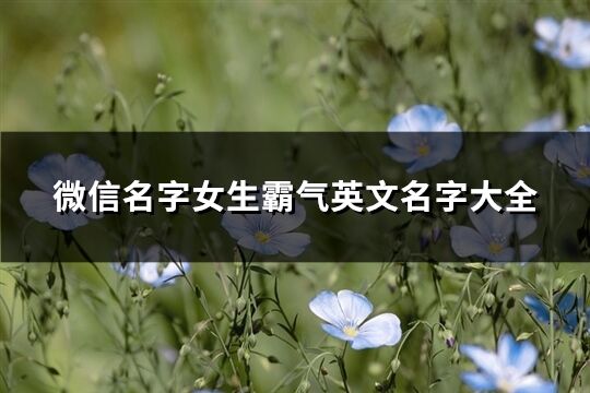 微信名字女生霸气英文名字大全(共92个)