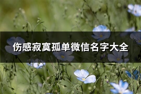 伤感寂寞孤单微信名字大全(共281个)