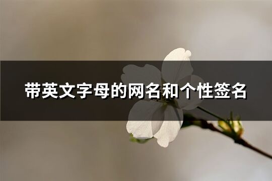 带英文字母的网名和个性签名(精选102个)