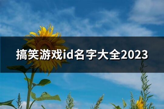 搞笑游戏id名字大全2023(精选45个)