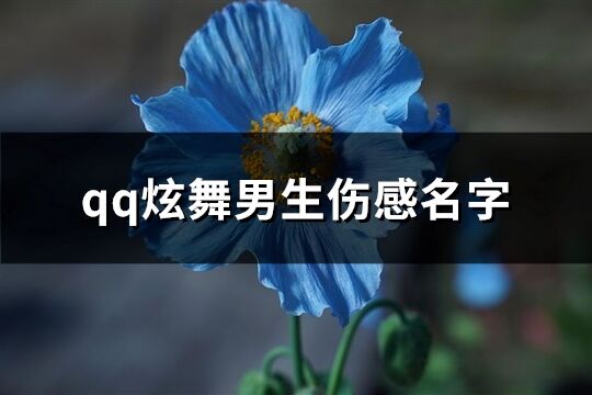 qq炫舞男生伤感名字(精选95个)