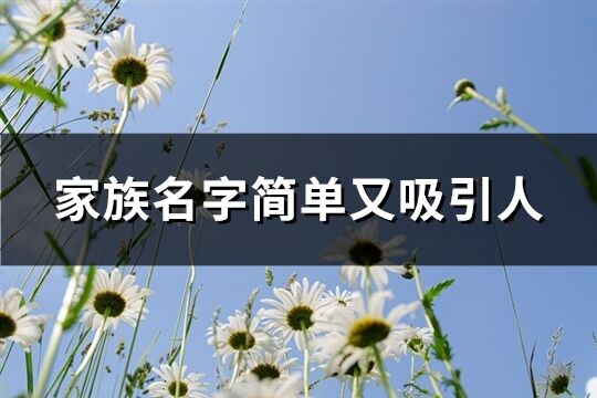 家族名字简单又吸引人(精选118个)