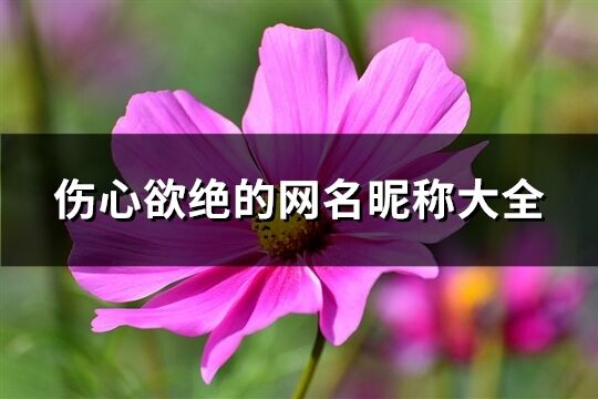 伤心欲绝的网名昵称大全(321个)