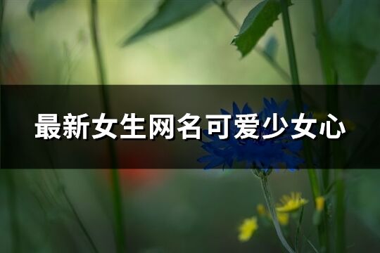 最新女生网名可爱少女心(共420个)