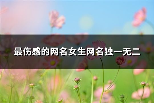 最伤感的网名女生网名独一无二(98个)