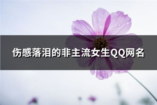 伤感落泪的非主流女生QQ网名(精选60个)