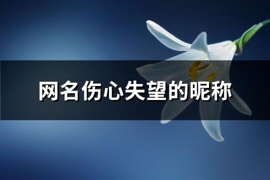 网名伤心失望的昵称(共258个)