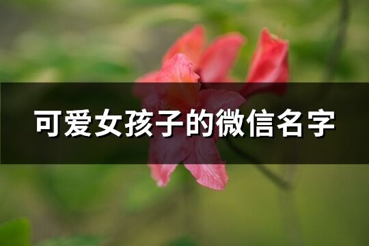 可爱女孩子的微信名字(313个)