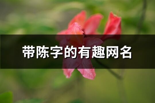 带陈字的有趣网名(共131个)