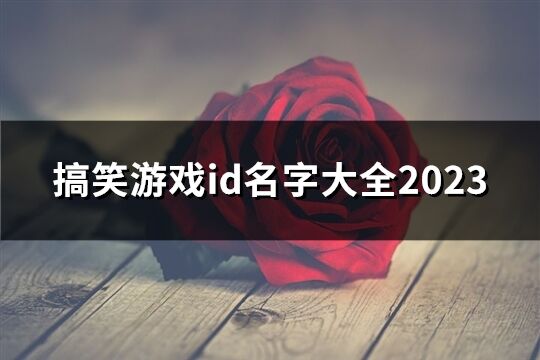 搞笑游戏id名字大全2023(45个)