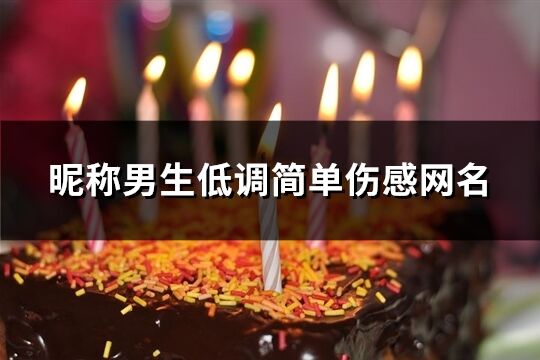 昵称男生低调简单伤感网名(共471个)