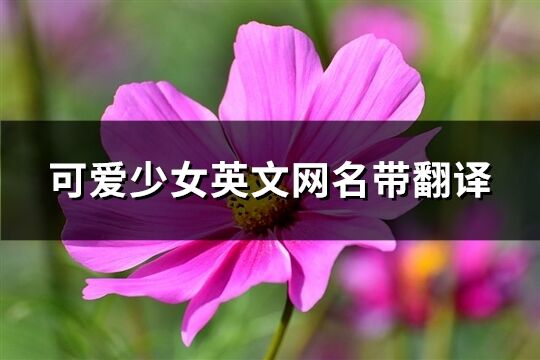 可爱少女英文网名带翻译(共93个)