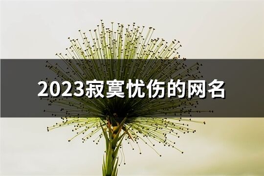 2023寂寞忧伤的网名(精选651个)