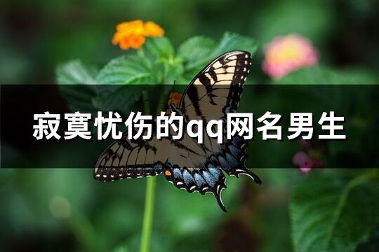 寂寞忧伤的qq网名男生(共195个)