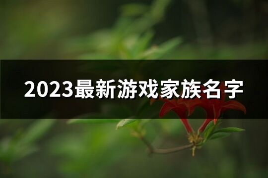 2023最新游戏家族名字(共234个)