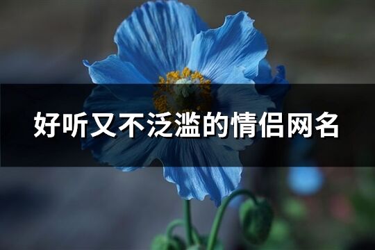 好听又不泛滥的情侣网名(216个)