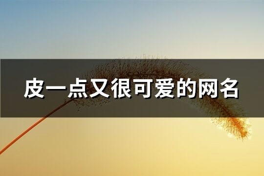 皮一点又很可爱的网名(精选114个)