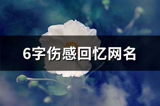 6字伤感回忆网名(共917个)