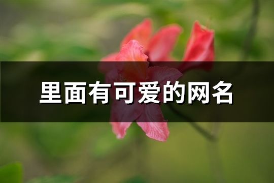 里面有可爱的网名(91个)