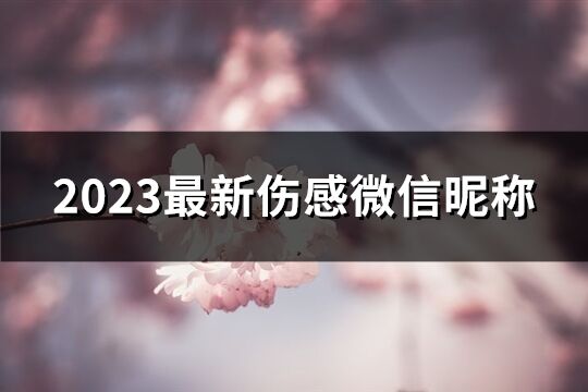 2023最新伤感微信昵称(精选596个)