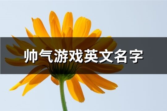 帅气游戏英文名字(共65个)