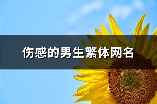 伤感的男生繁体网名(精选215个)