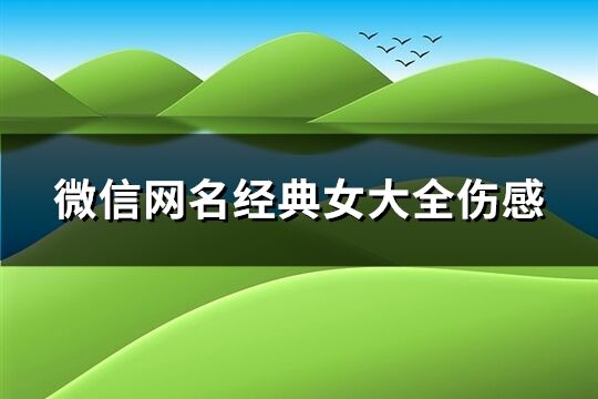 微信网名经典女大全伤感(228个)