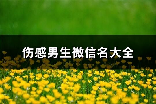 伤感男生微信名大全(精选174个)