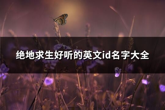 绝地求生好听的英文id名字大全(共116个)