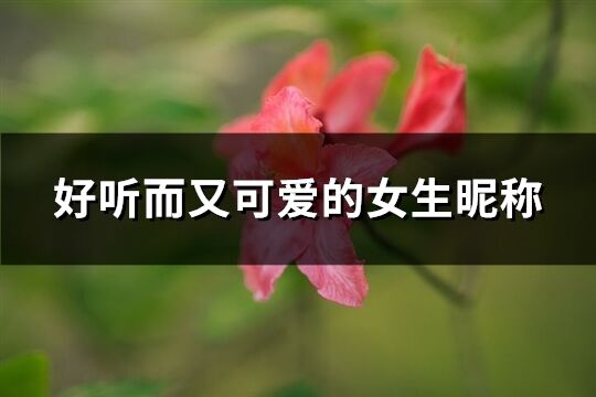 好听而又可爱的女生昵称(精选566个)