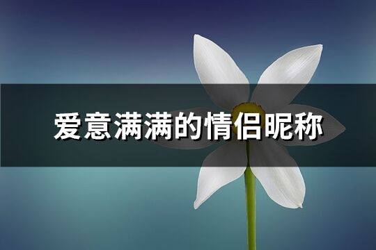 爱意满满的情侣昵称(共66个)