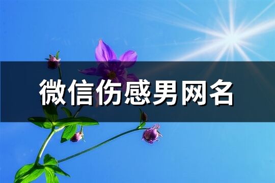 微信伤感男网名(691个)