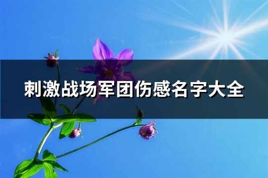 刺激战场军团伤感名字大全(精选349个)