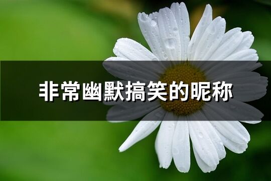 非常幽默搞笑的昵称(优选443个)